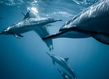 以色列宣布计划3月8日重新开放领空 允许出境航班通行